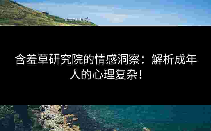 含羞草研究院的情感洞察：解析成年人的心理复杂！