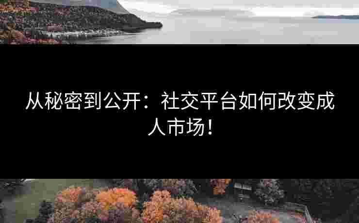从秘密到公开：社交平台如何改变成人市场！