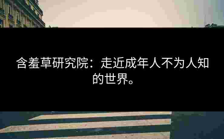 含羞草研究院：走近成年人不为人知的世界。
